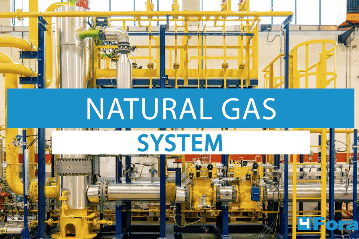 Sistema di gas naturale